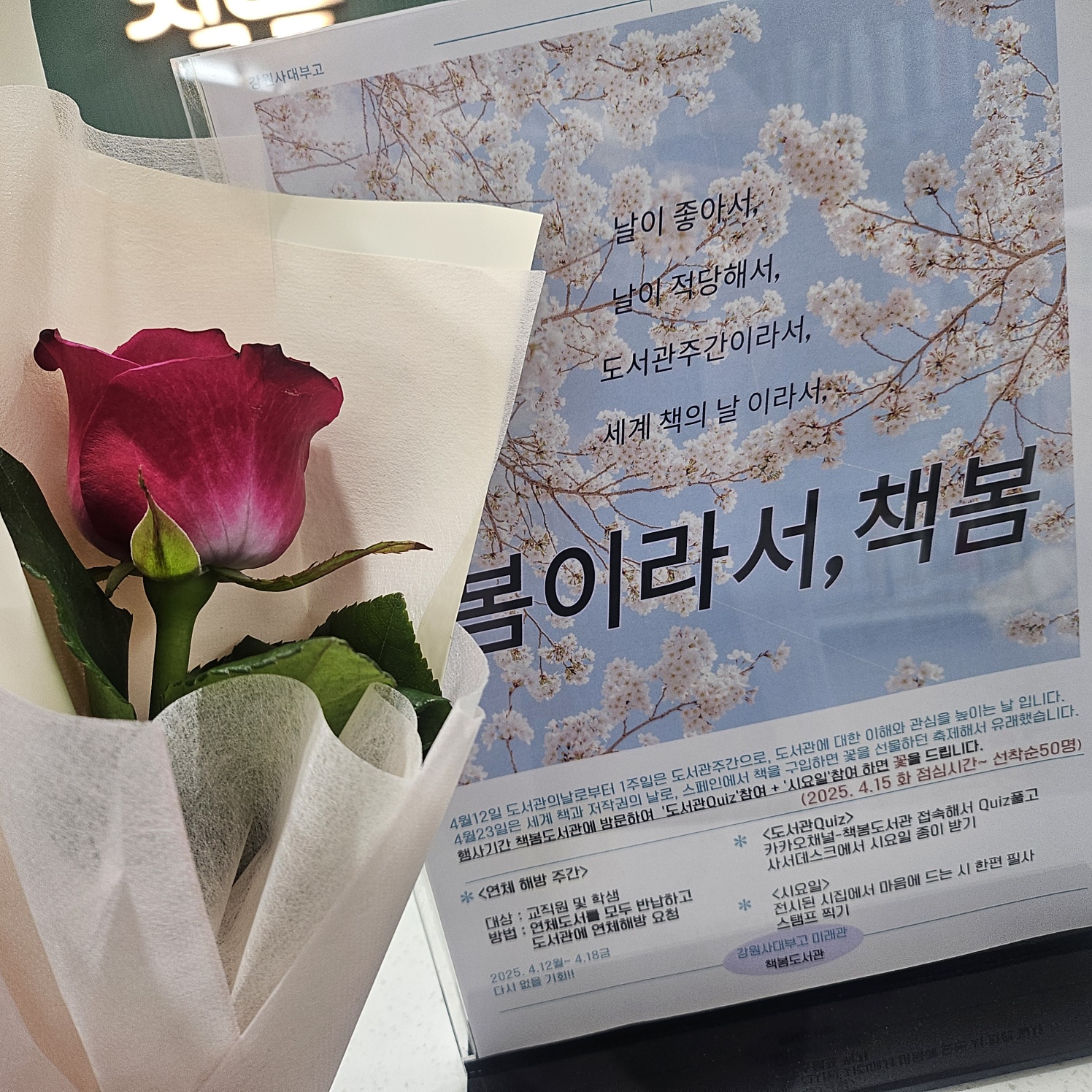 봄이라서 책봄 행사 사진